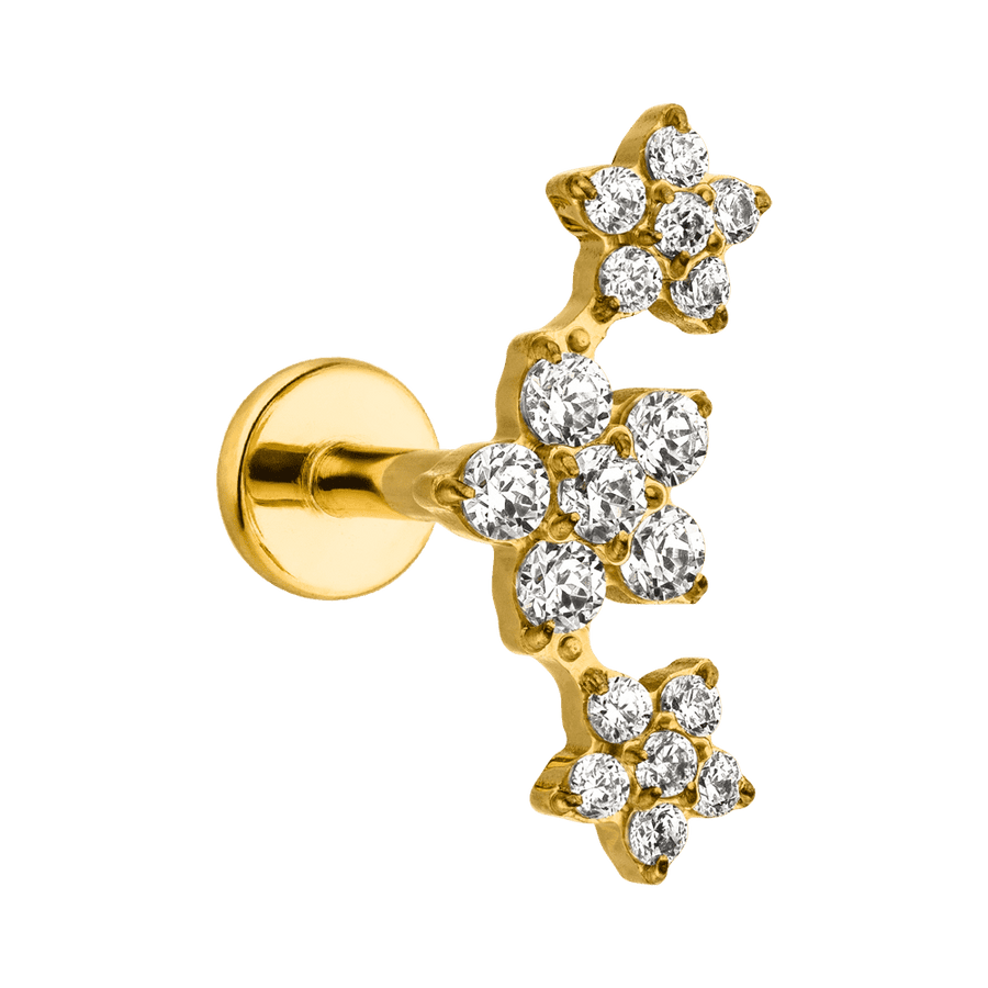Titan Piercing vergoldet Helix Blume