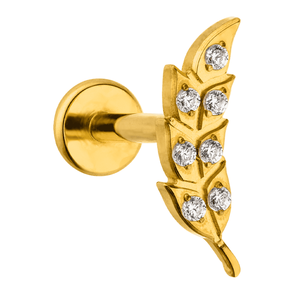 Feder Labret Ohrpiercing vergoldet Titan Helix