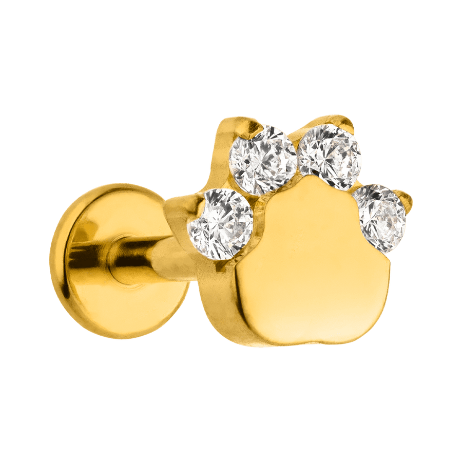Titan Piercing Pfote mit Steinchen Zirkonia wasserfest Helix