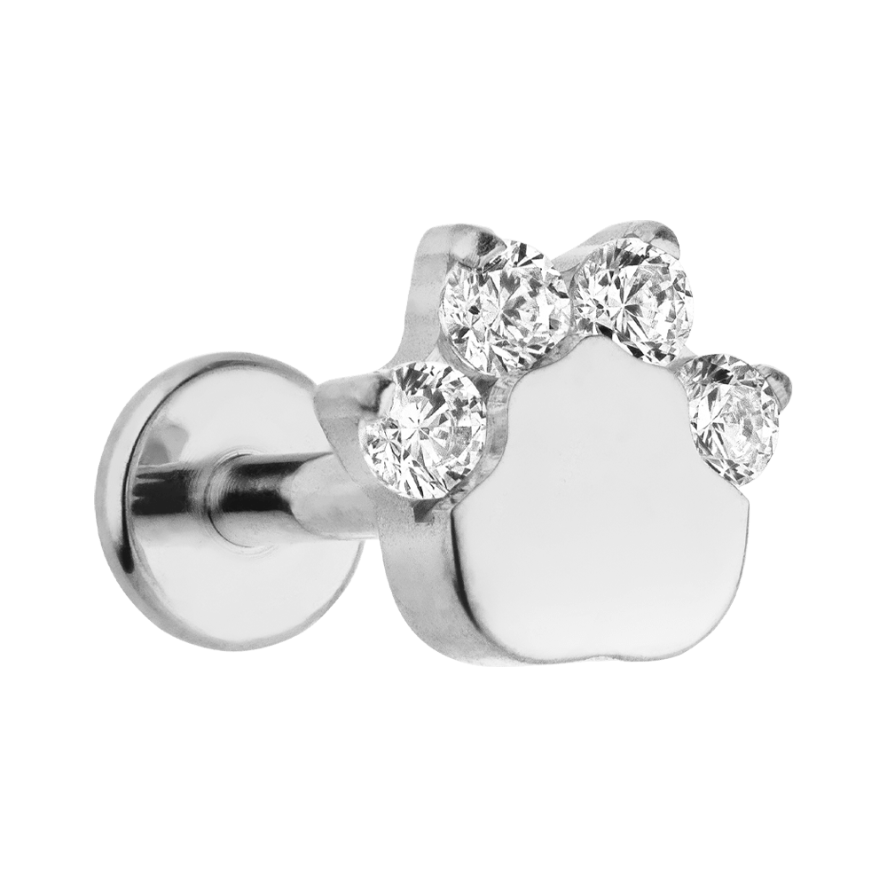 Titan Helix Pfote Labret Conch Glitzer wasserfest