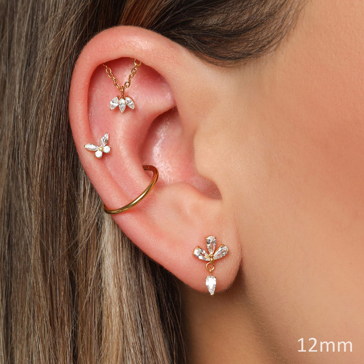 Elegant Conch Piercing | Titan