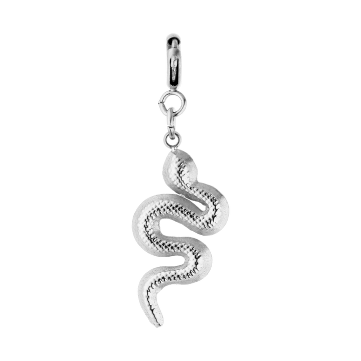 Schlangen Anhänger für Kette Silber Charm wasserfest Edelstahl
