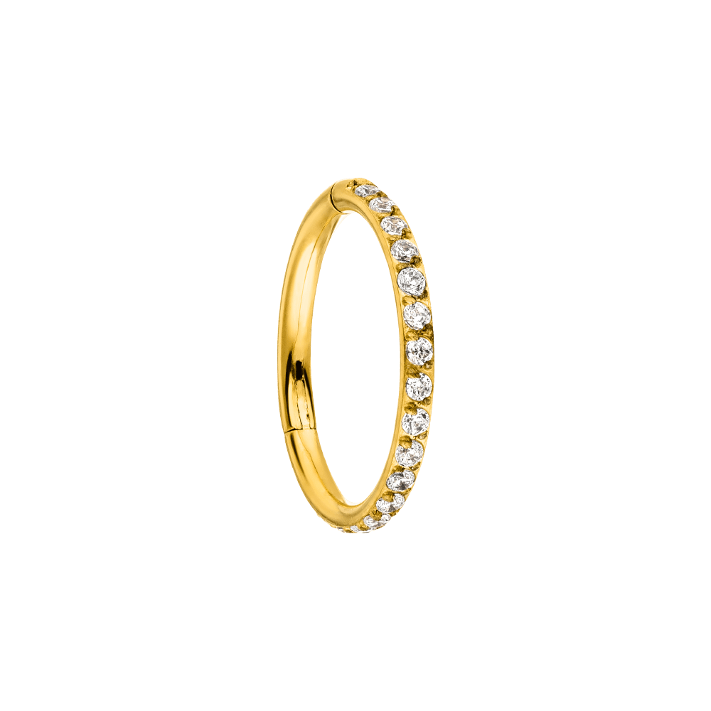 Zirkonia Clicker Gold Segmentring Titan wasserfestes Piercing