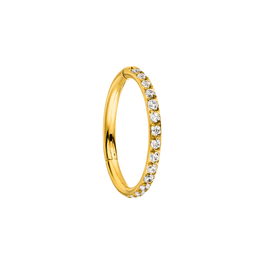 Zirkonia Clicker Gold Segmentring Titan wasserfestes Piercing