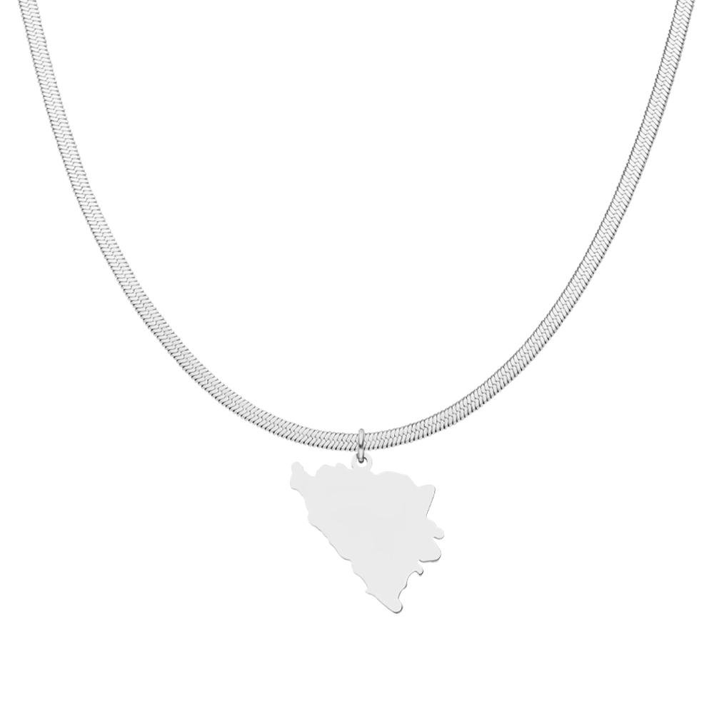 Nations Necklace | Stainless Steel Silver | Snake Skin