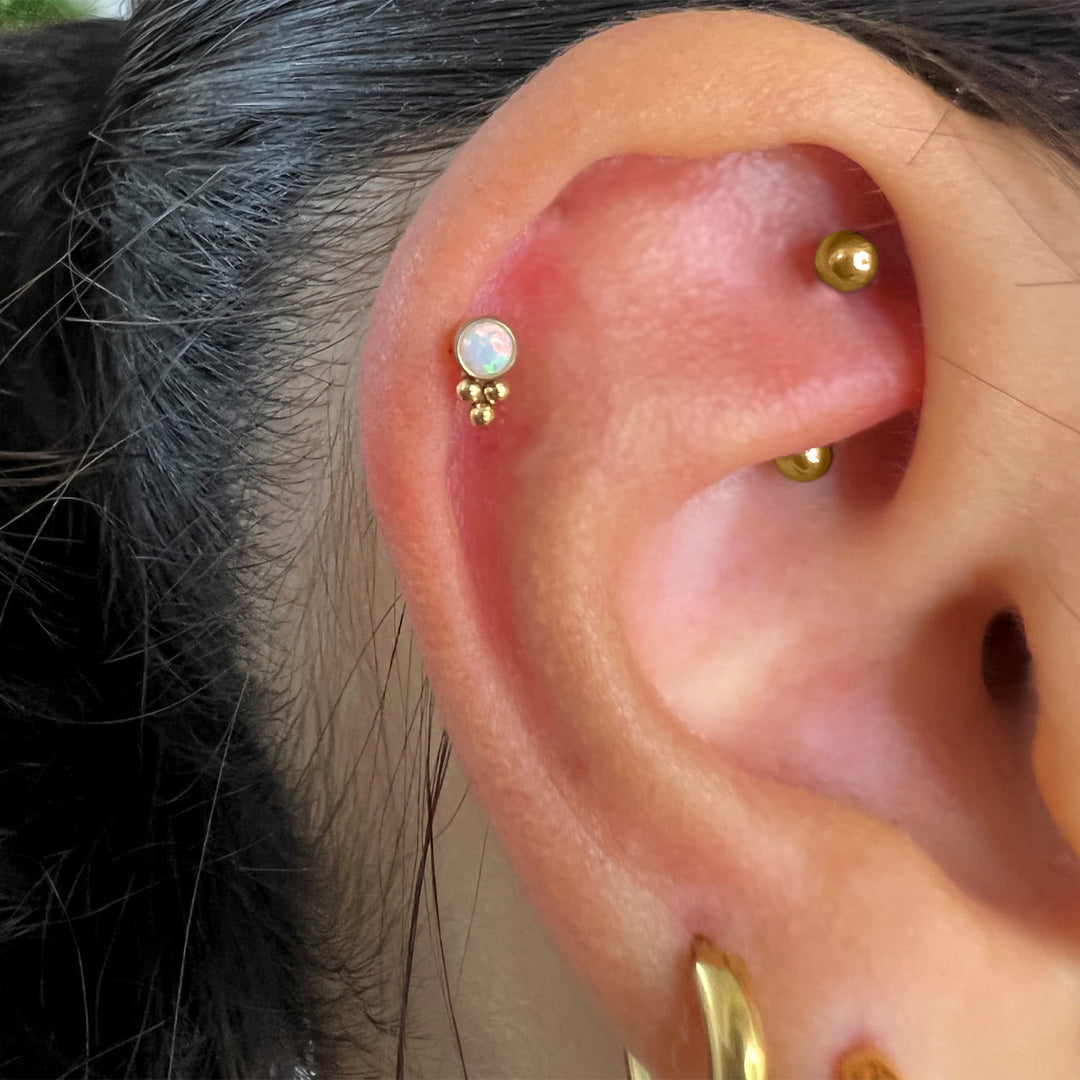 Lavea Piercing | Titan
