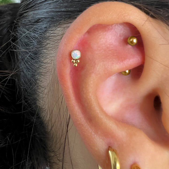 Lavea Piercing | Titan
