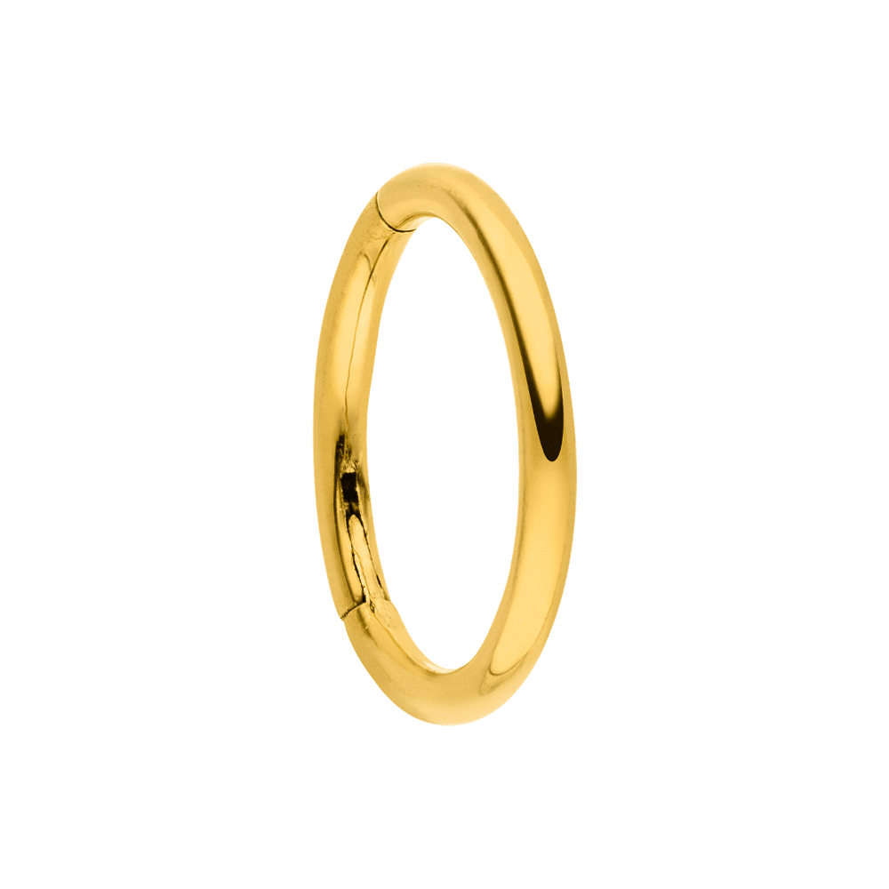 wasserfester Segmentring Piercing Helix Nase Titan 6mm