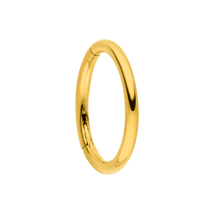 wasserfester Segmentring Piercing Helix Nase Titan 6mm